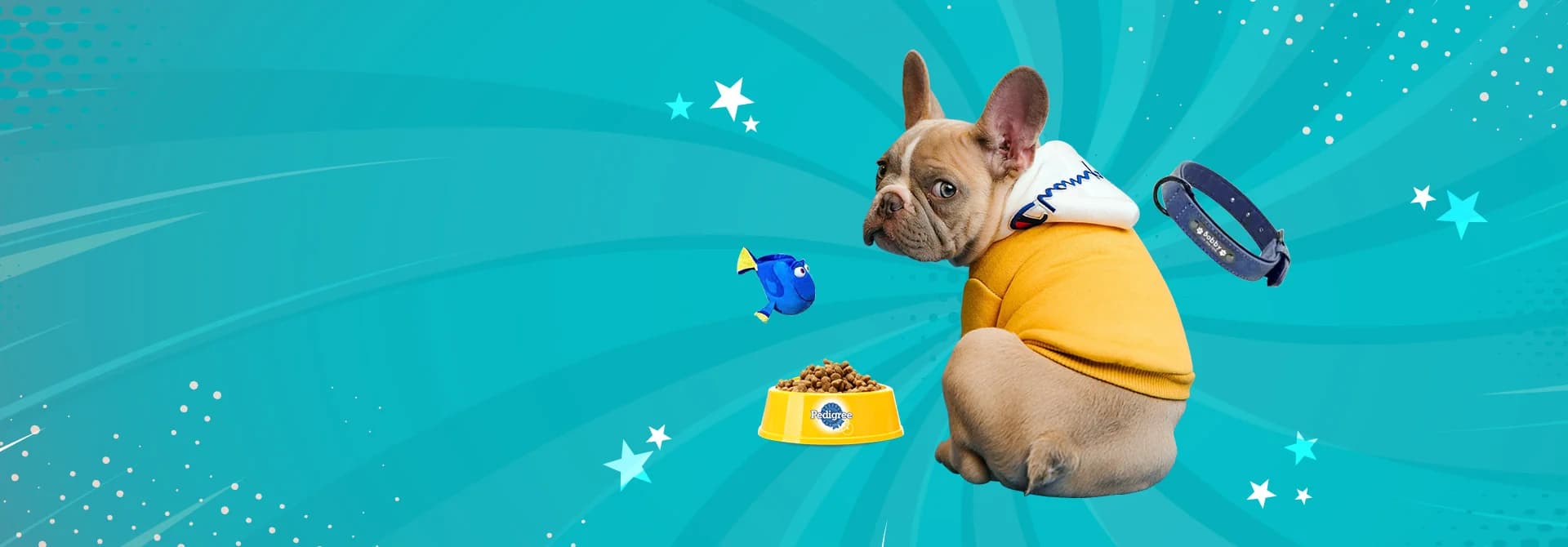 PhenixMeow playful pet toys