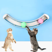 Cat Track ball toy (Interactive Ball Roller)