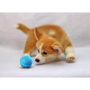 Smart Automatic Dog Ball Toy – Interactive Self-Propelling Robotic Ball for Indoor Dogs